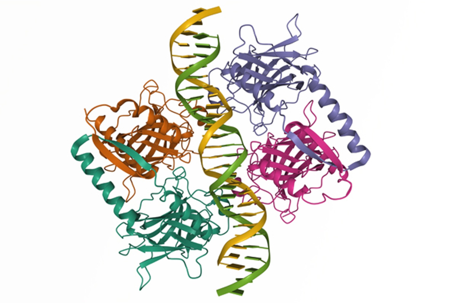 Introduction to Chromatographic Characterization of Proteins