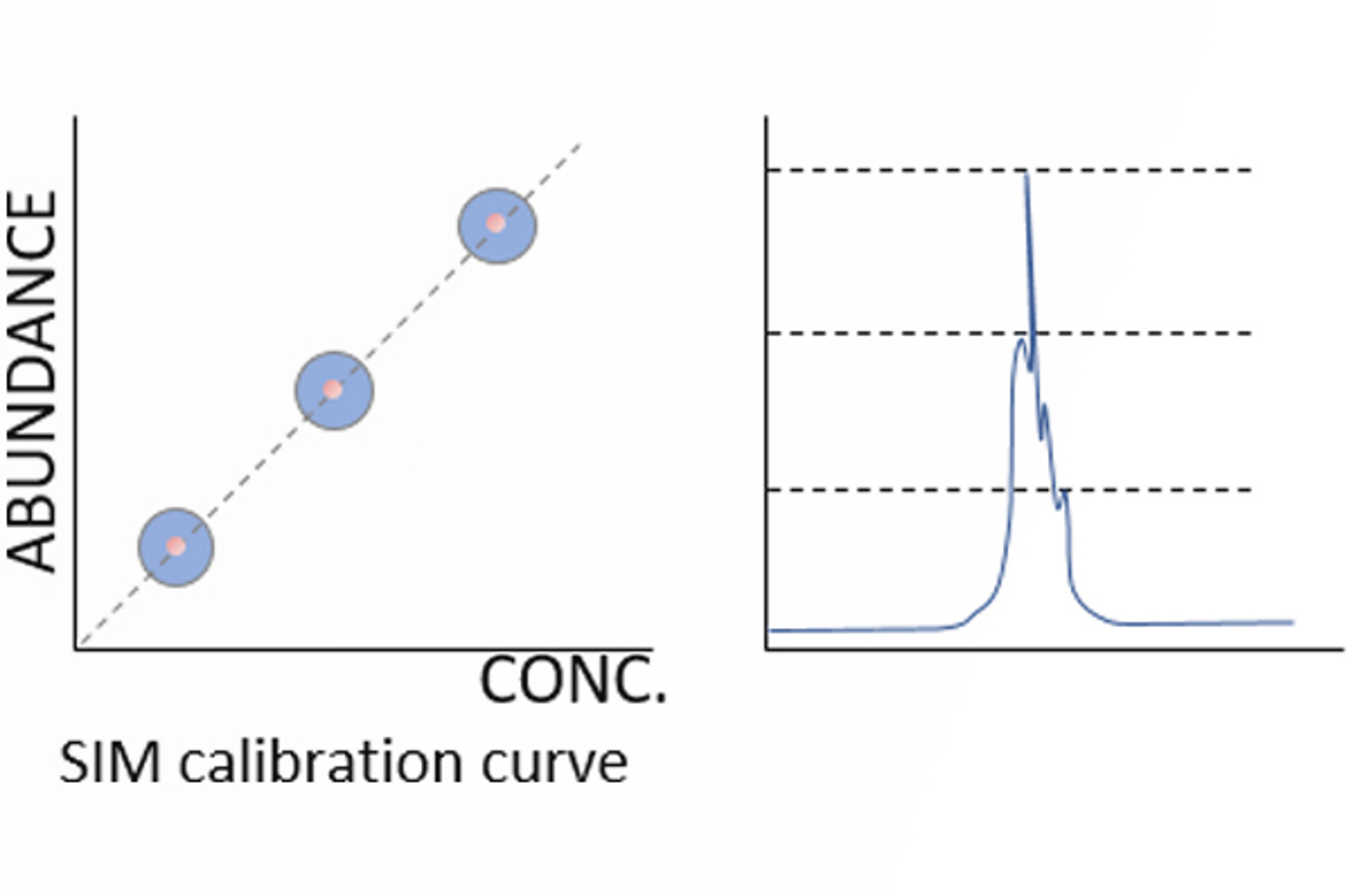 Everything You Need to Know About LC-MS Tuning and Calibration