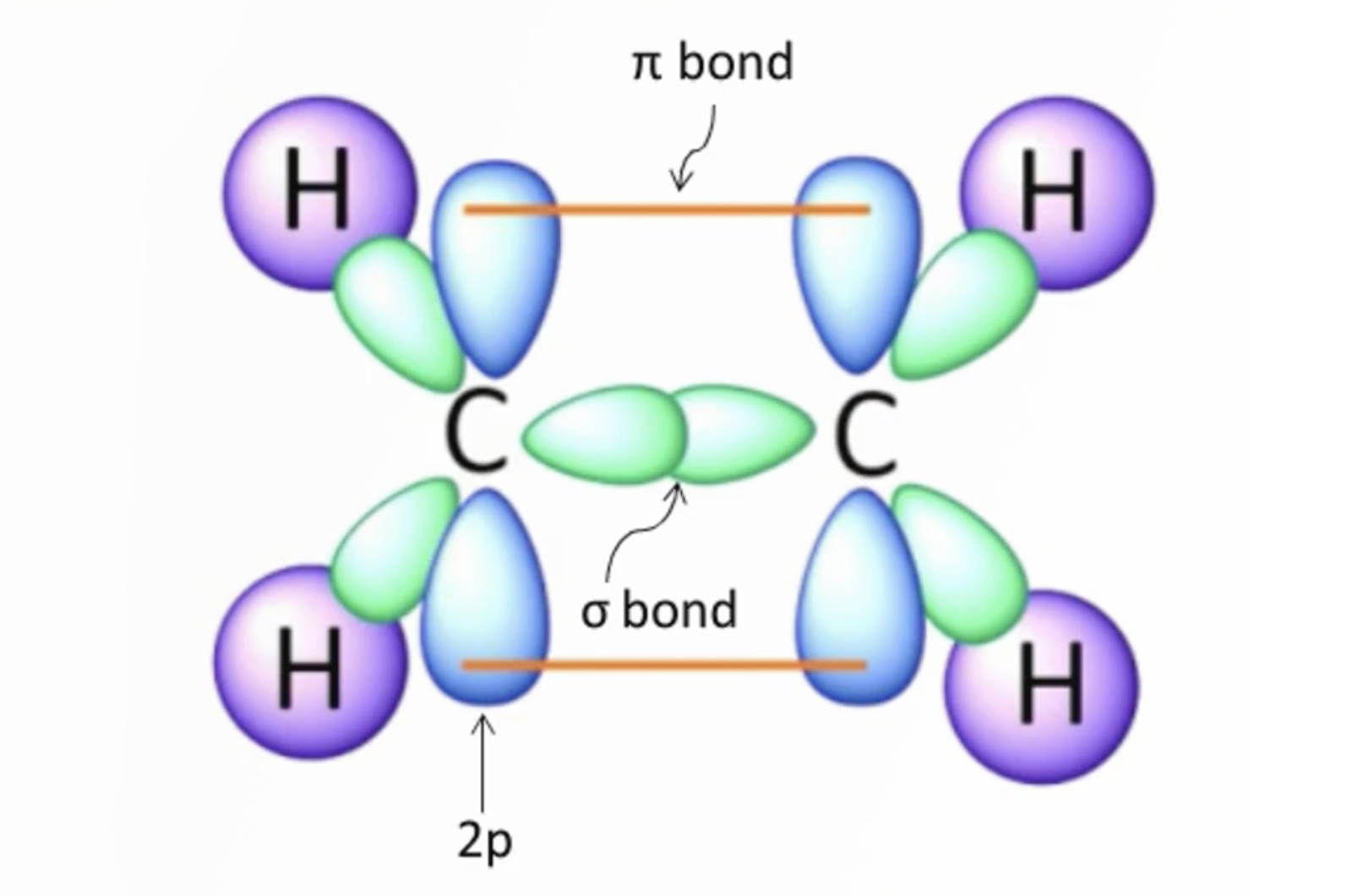 Everything You Need to Know About UV Detectors for HPLC