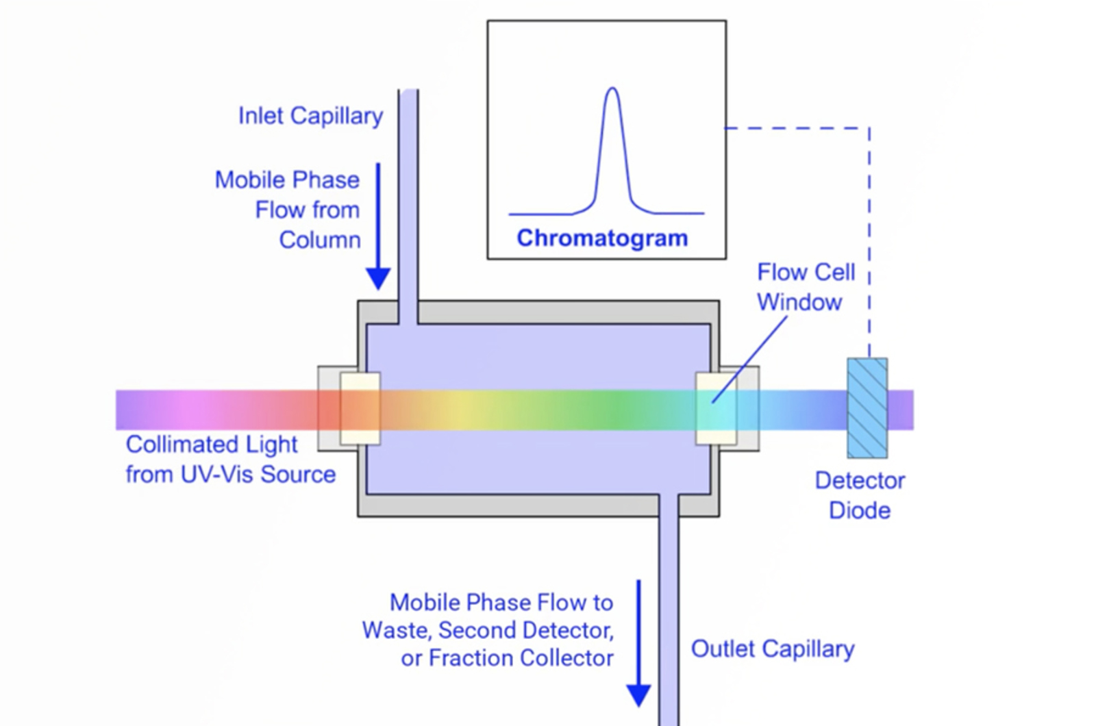 HPLC Detectors – What, Where, When, and How