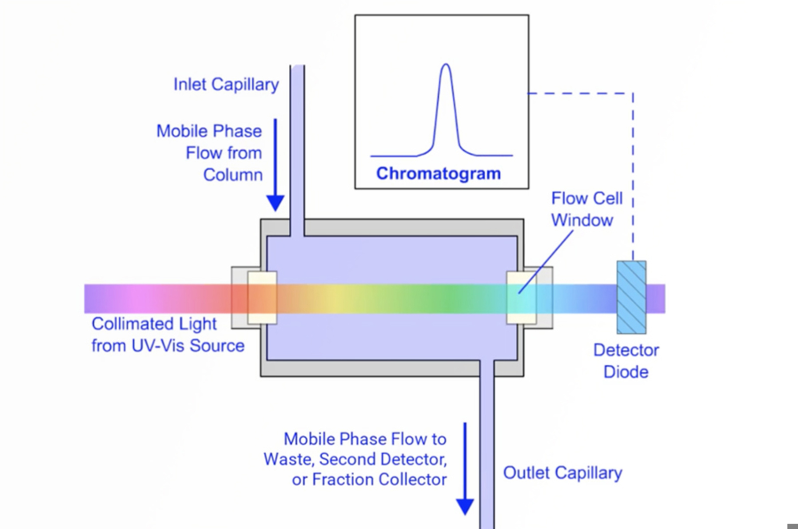 HPLC Detectors – What, Where, When, and How