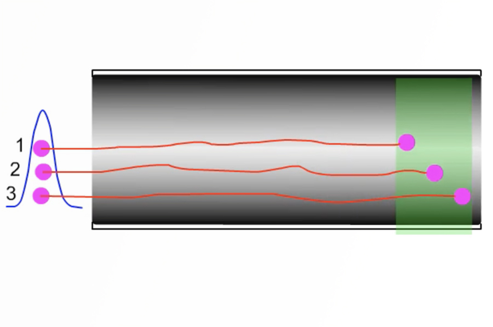 GC Band Broadening - Longitudinal Diffusion