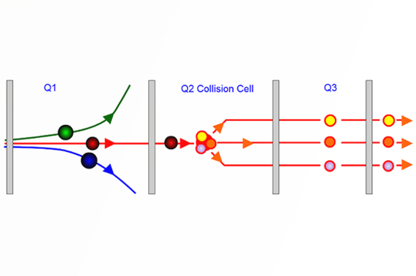 LC-MS - Introduction to MS/MS Experiments