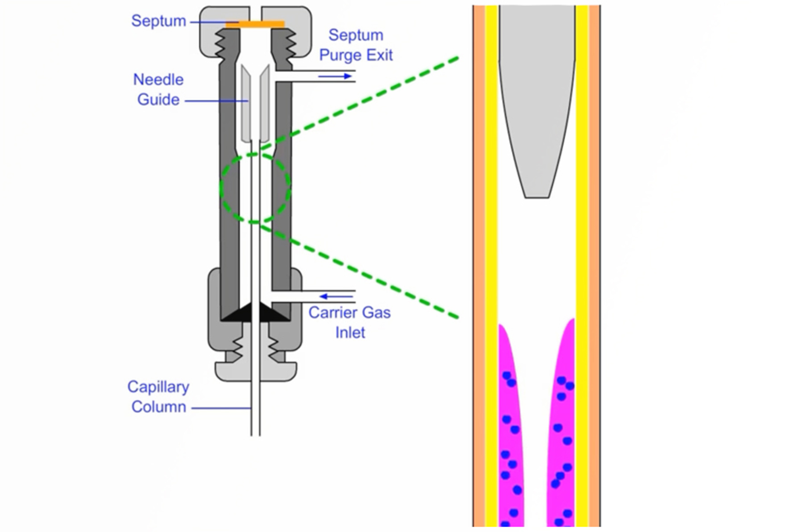 Guard Column or Retention Gap?