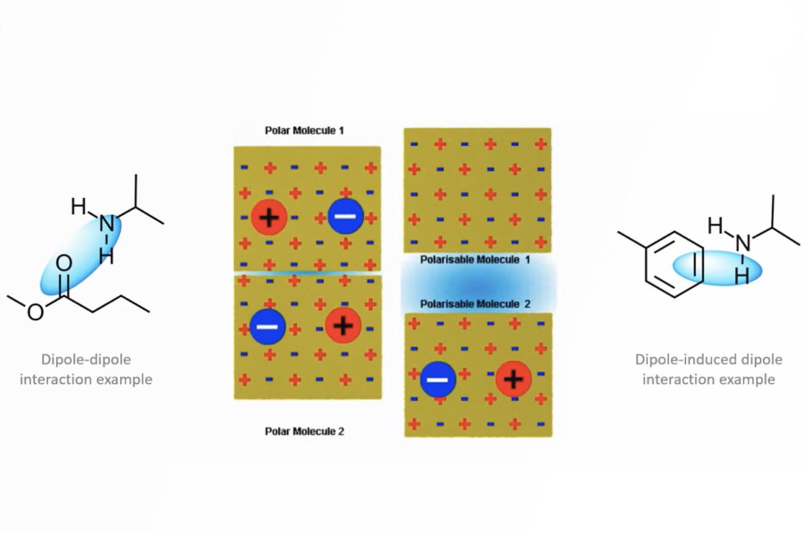 GC Columns - Analyte/Stationary Phase Interactions