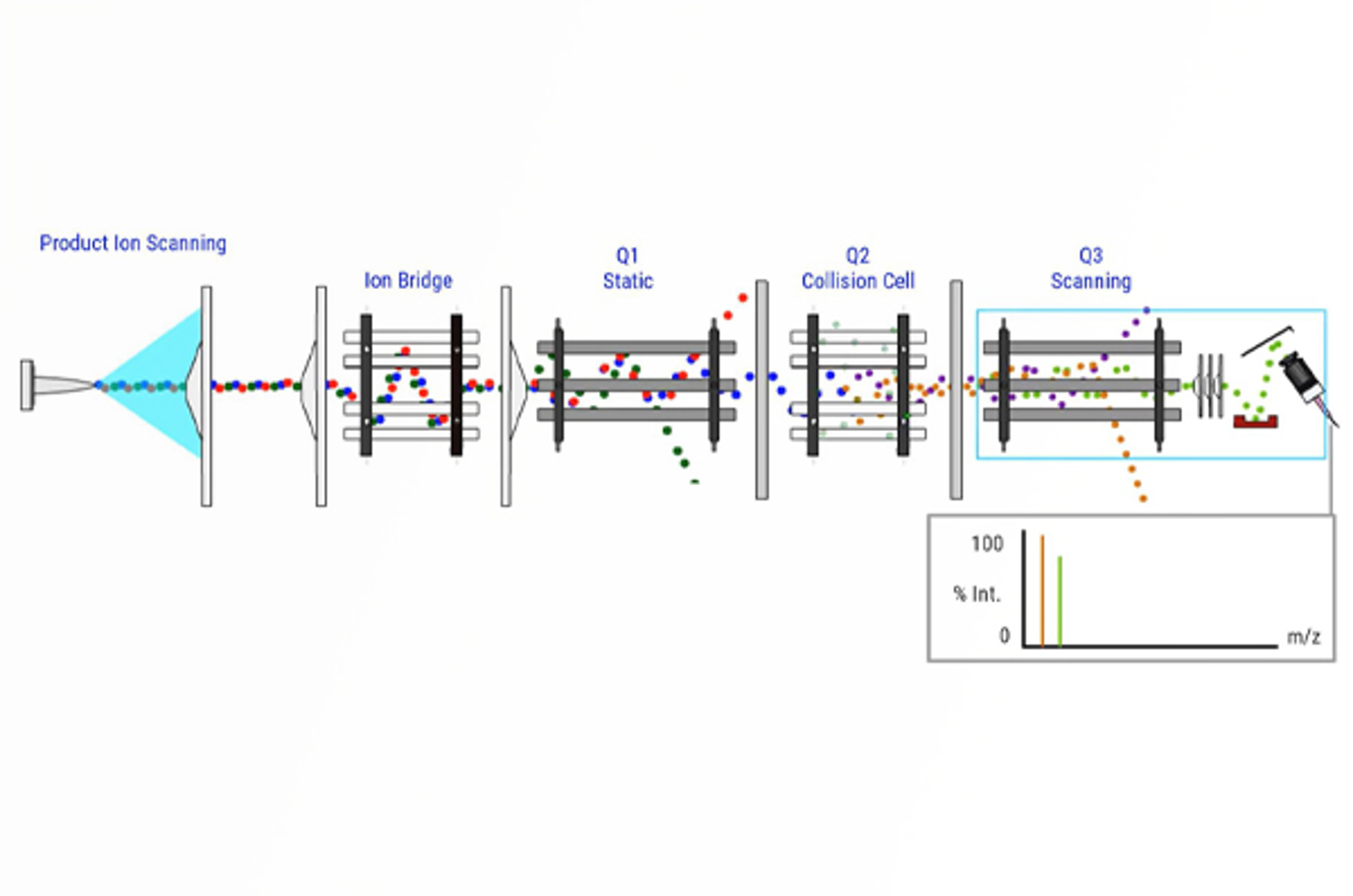 Quadrupole Analyzers and MS/MS Analysis