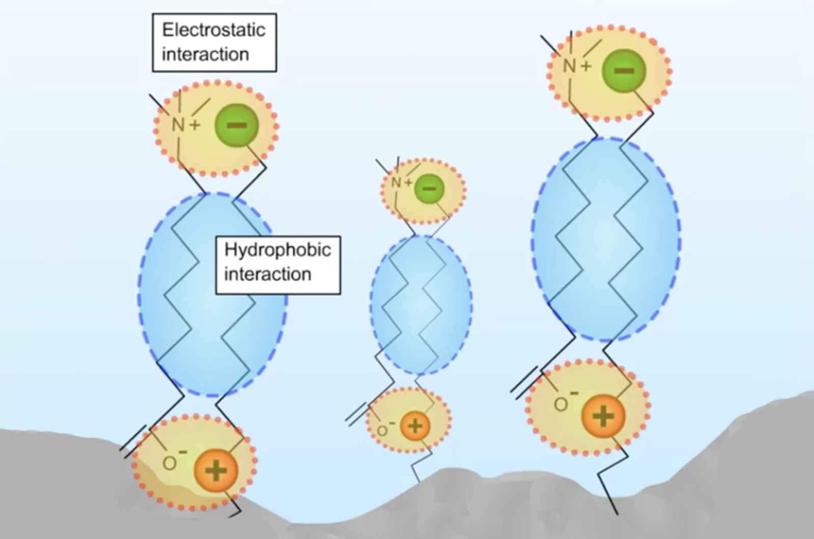 How to Choose a Stationary Phase for HILIC