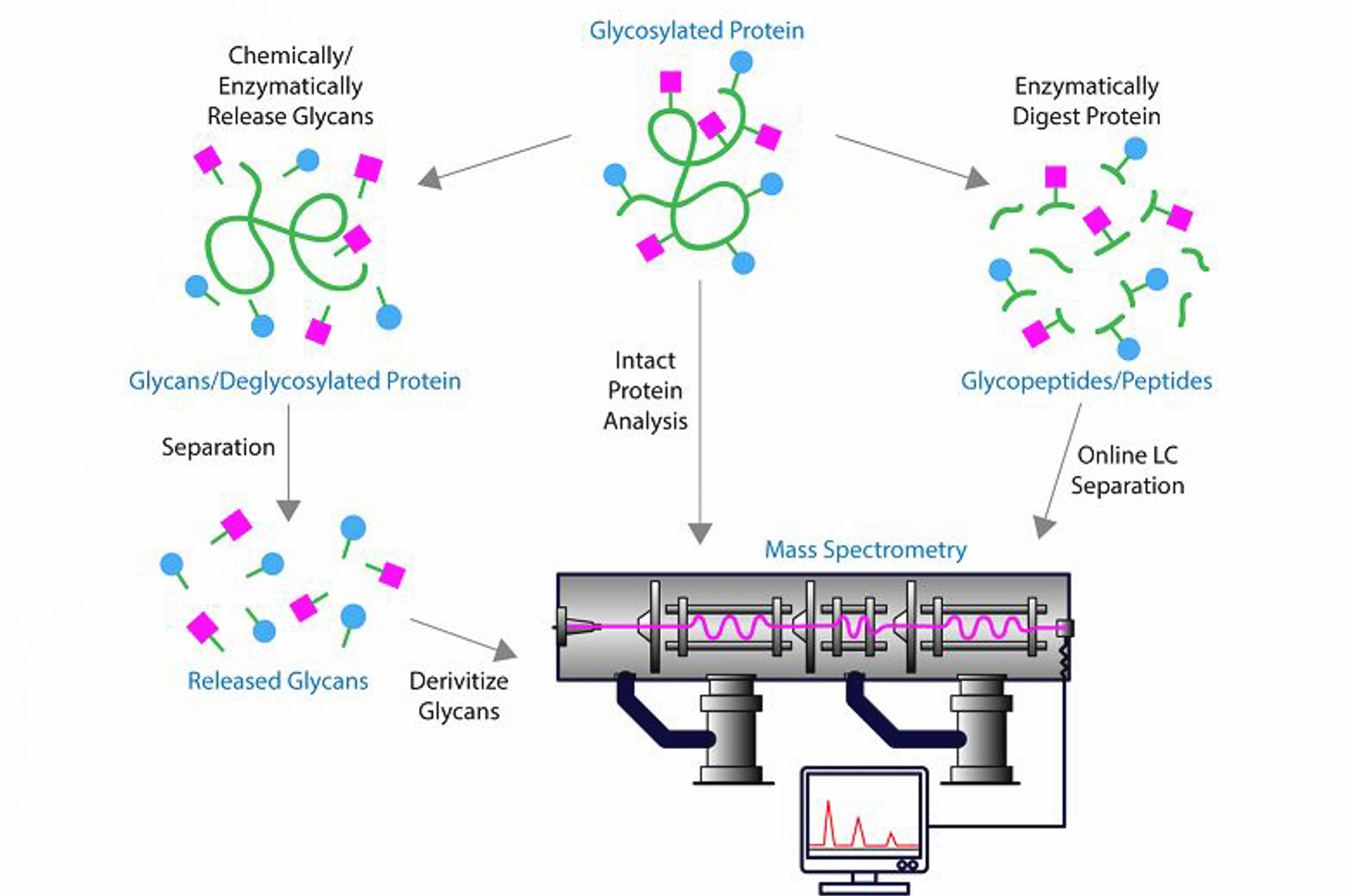 Introduction to Mass Spectrometry for Biomolecules