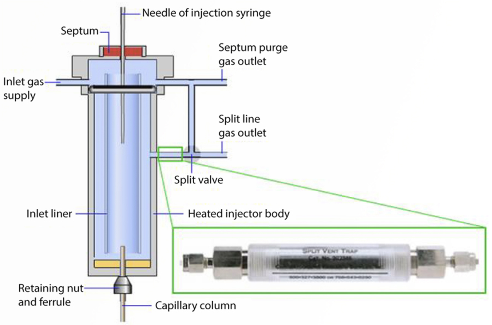 GC Instrument Fundamentals