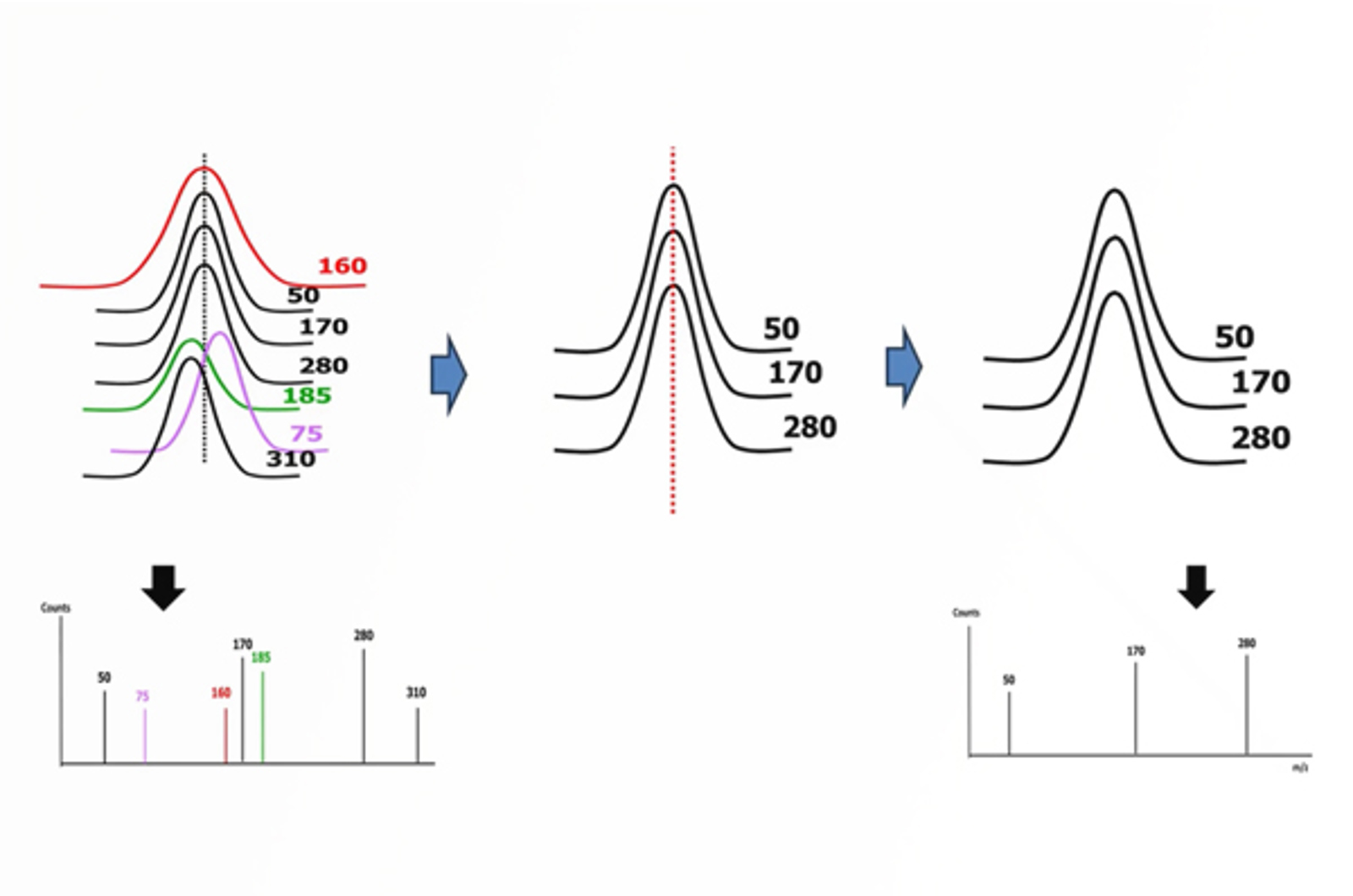 CHROMtalks - Deconvolution Demystified: Making Sense of Overlapping Spectra