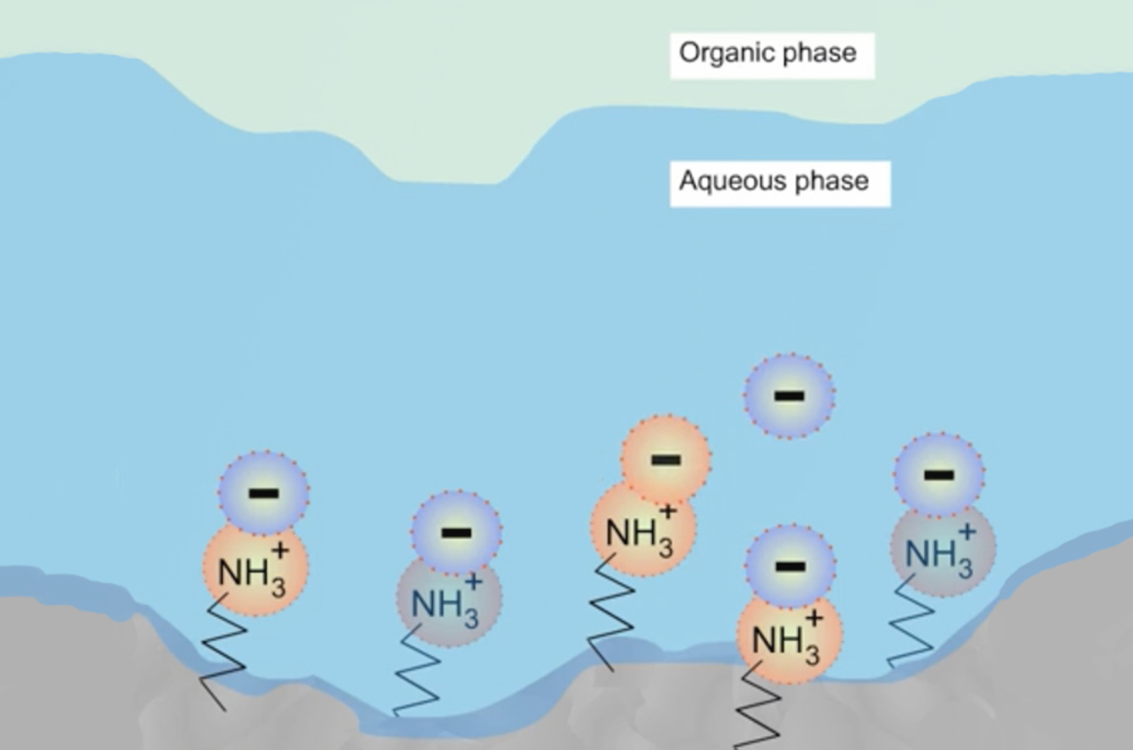 HILIC Mechanism and Stationary Phase