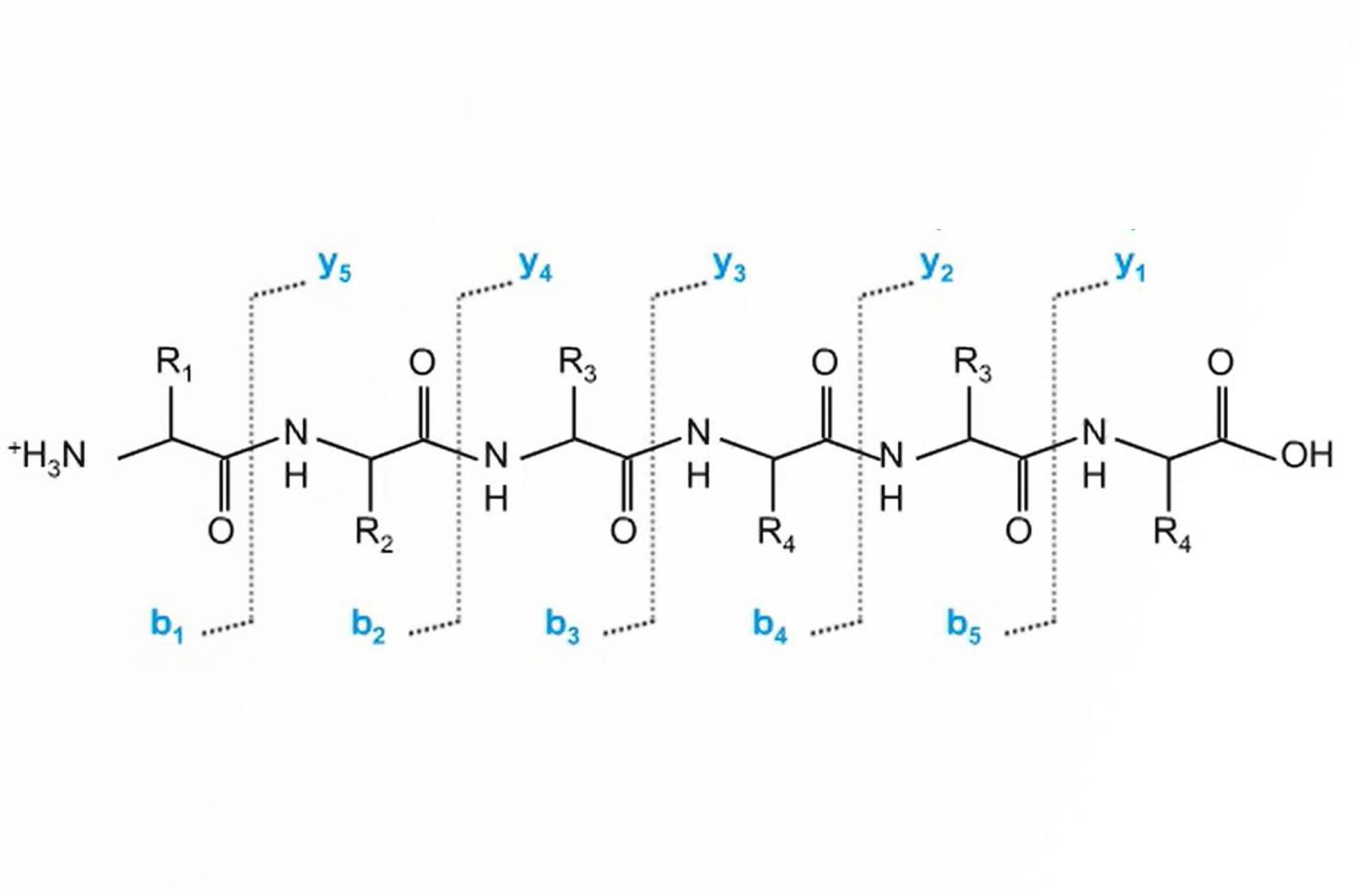The Power of LC-MS in the Characterization of Protein Biopharmaceuticals