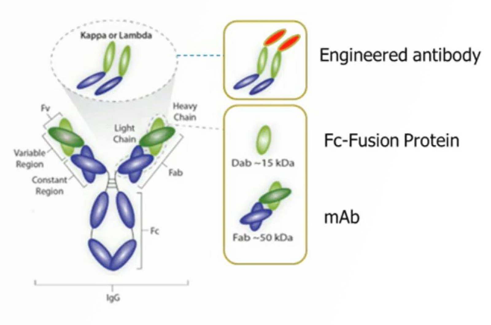 Applying High Resolution and High Efficiency SEC Technology to Biotherapeutics