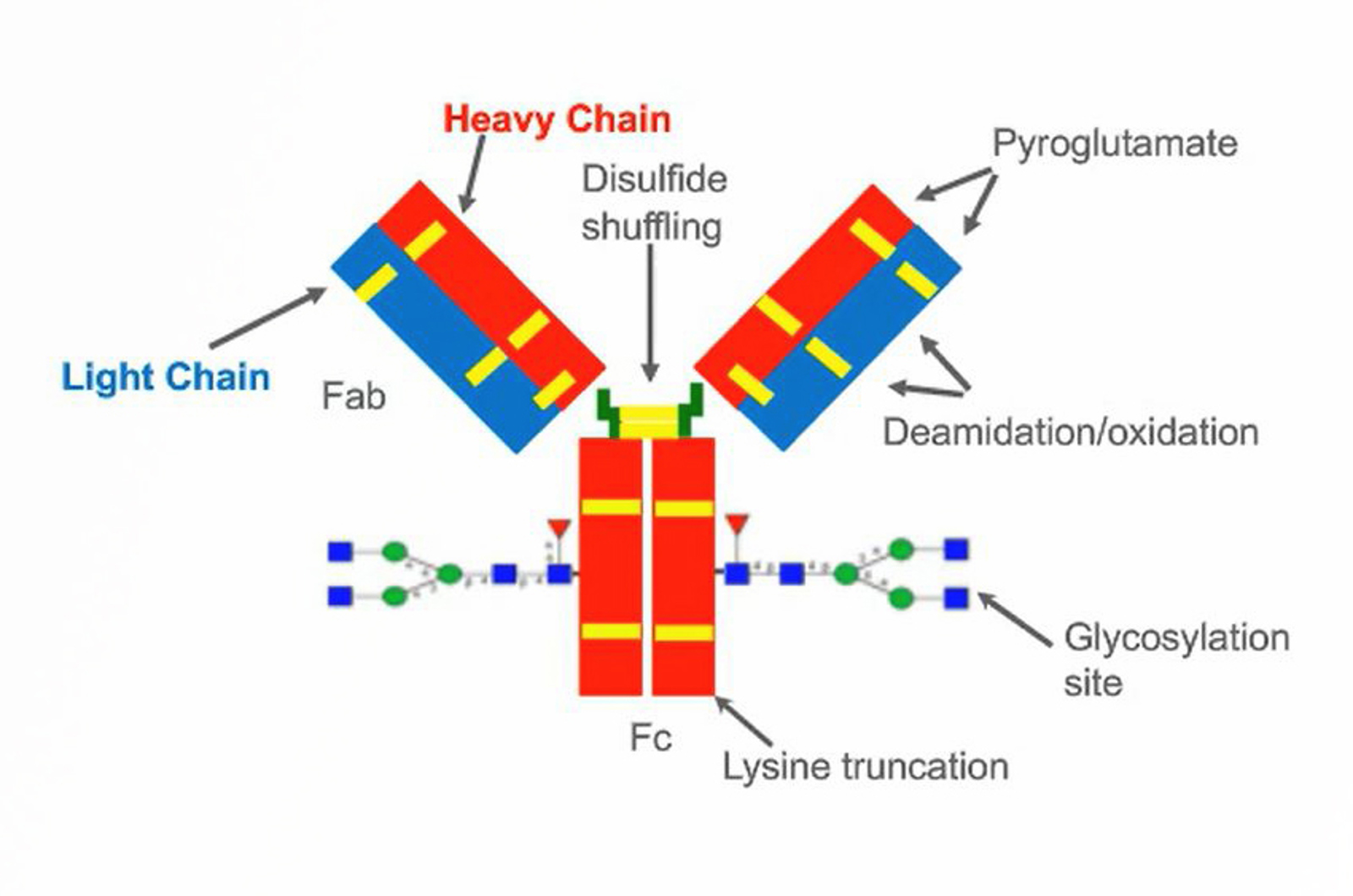 The Benefits of Dedicated HPLC Systems and Chromatography Columns for Analysis of Biomolecules