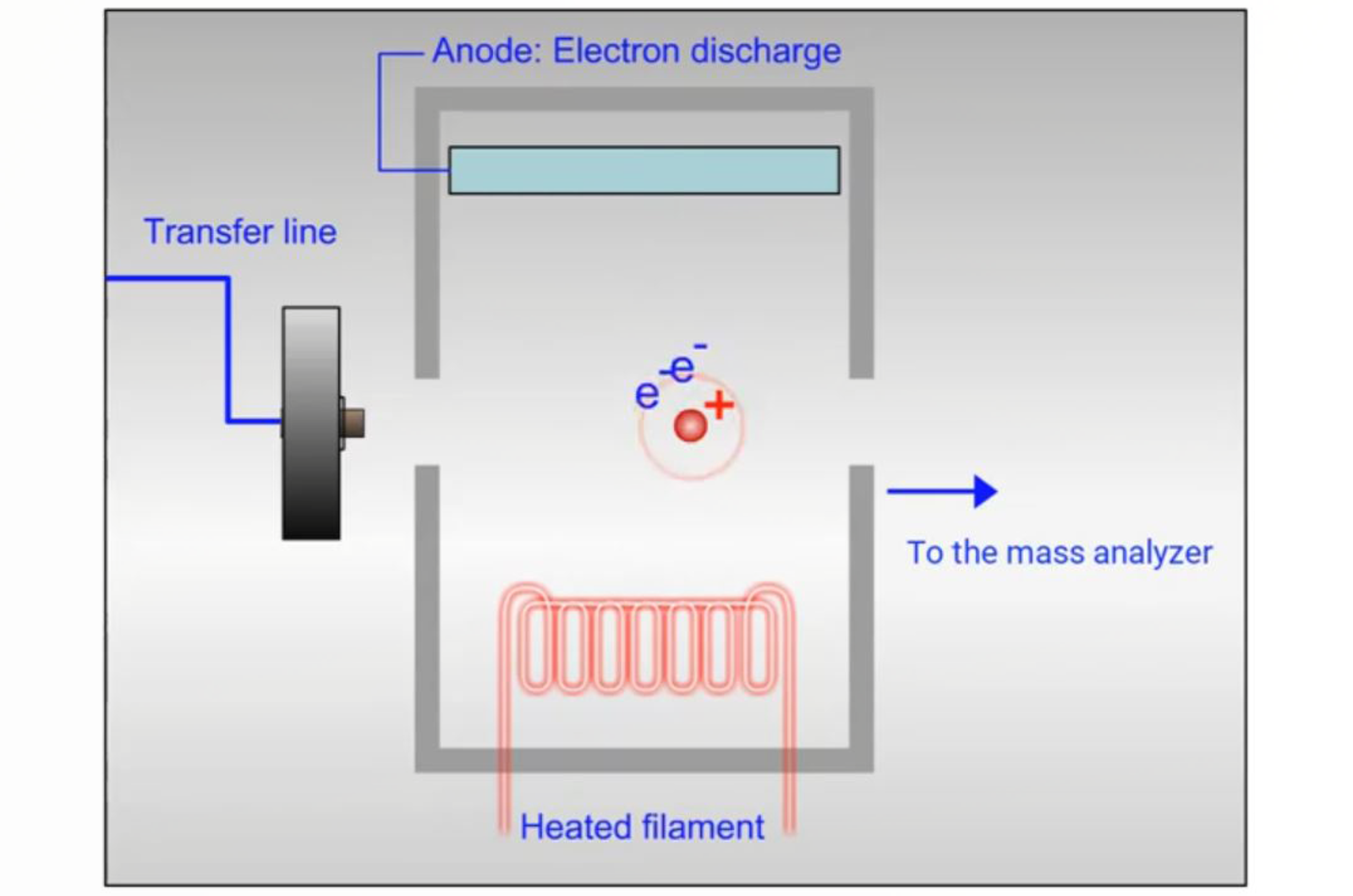 GC-MS Solvent Delay
