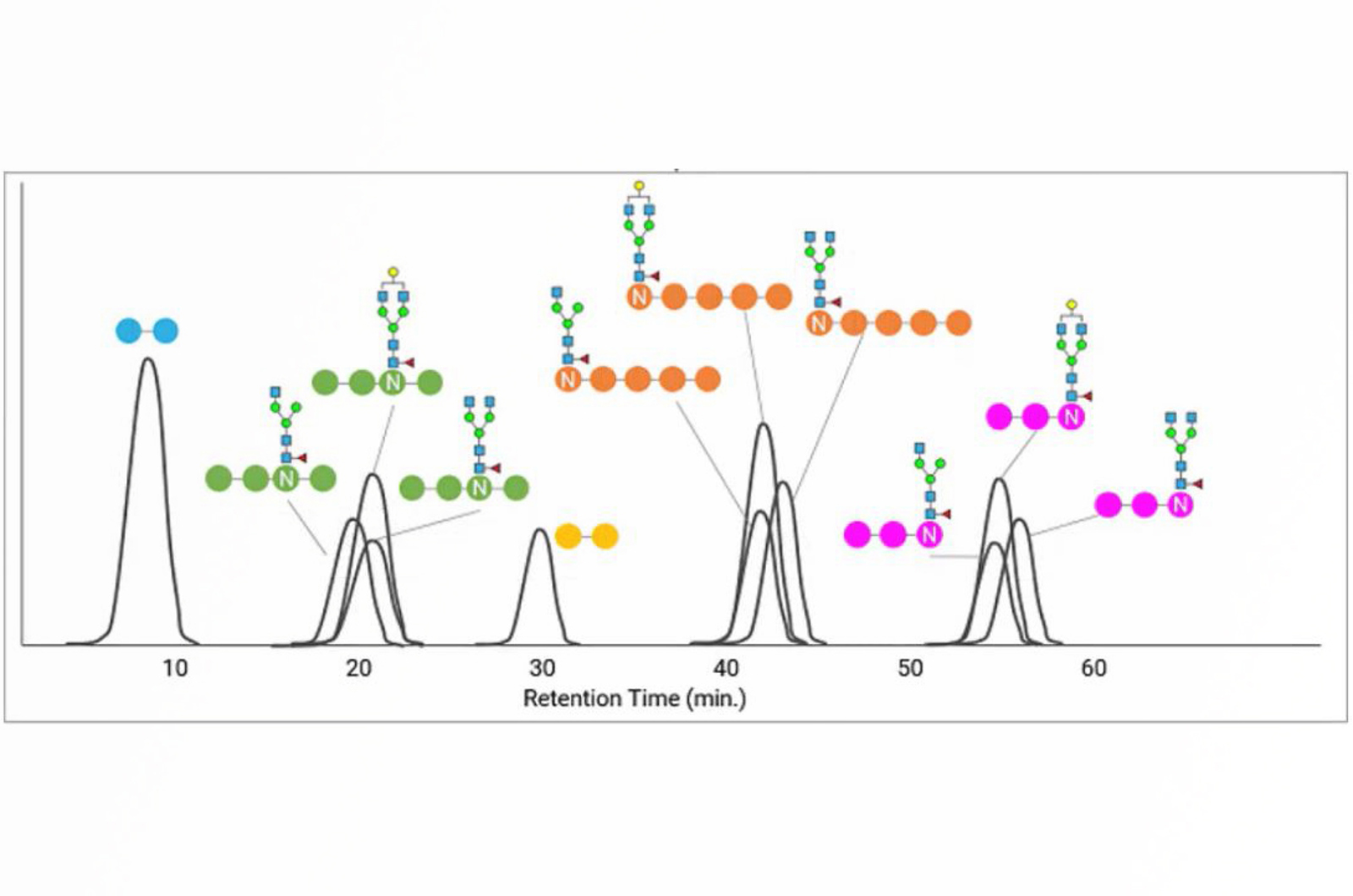 Mass Spectrometry at the Glycan Level