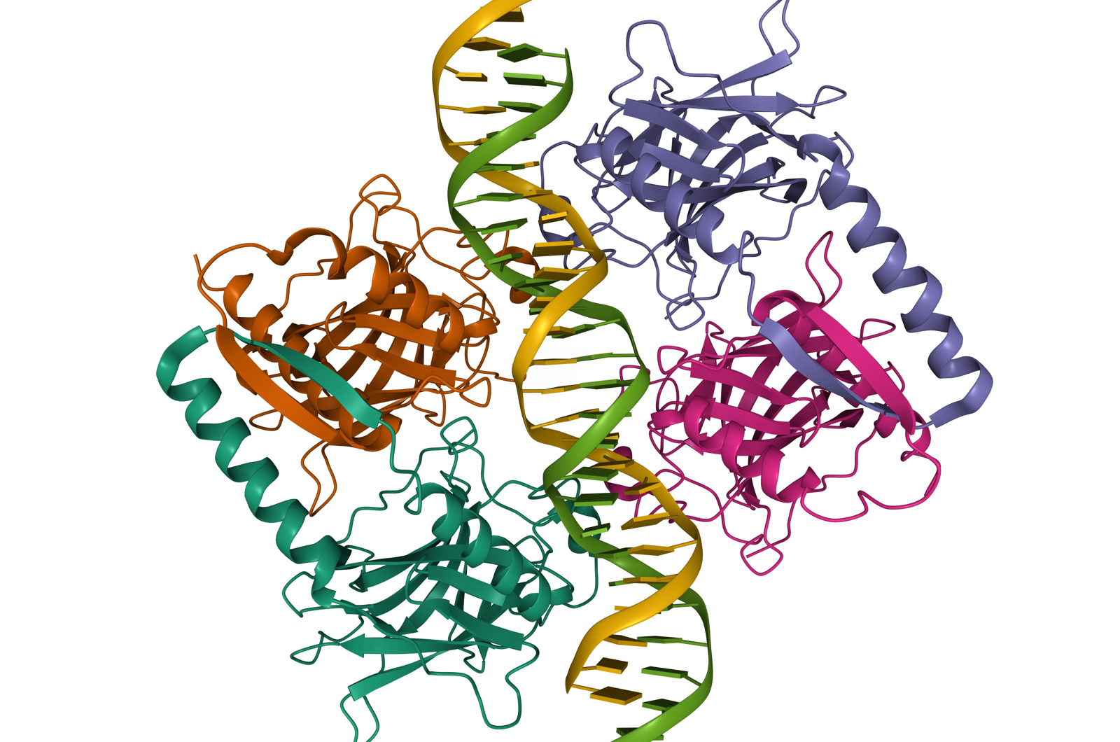 Amino Acids, Peptides, and Proteins